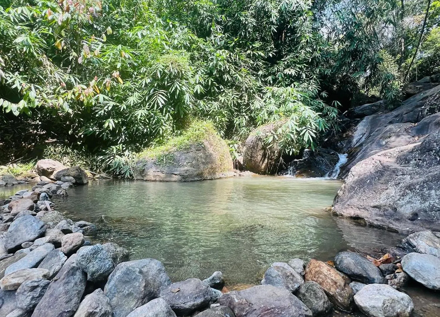 Mount Court Munnar Hotel Guest house