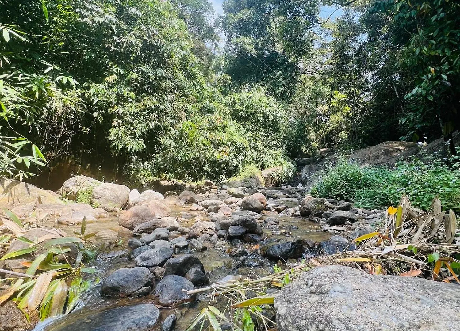 Mount Court Munnar 호텔 0*,